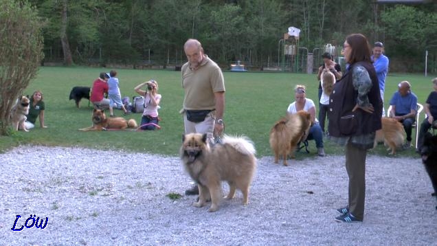 21.4.2018 - Vorstellung beim ECA-Treffen